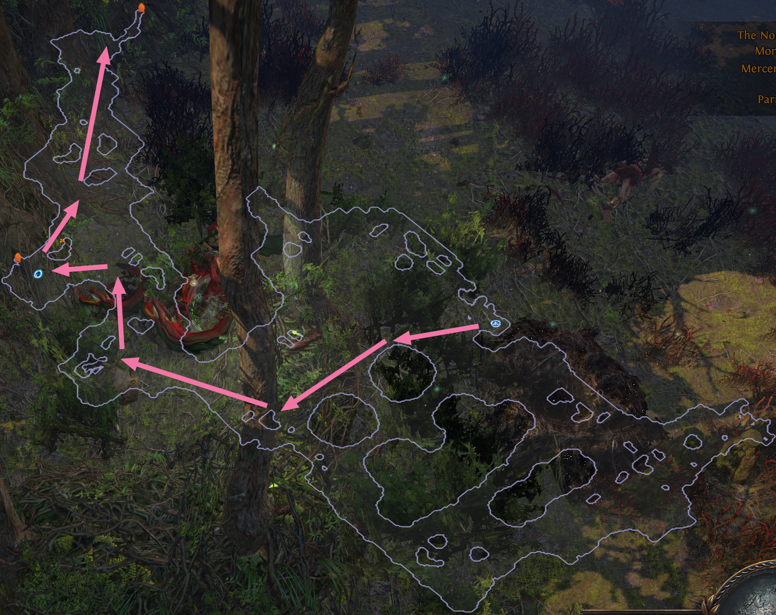 Northern Forest Variant 2